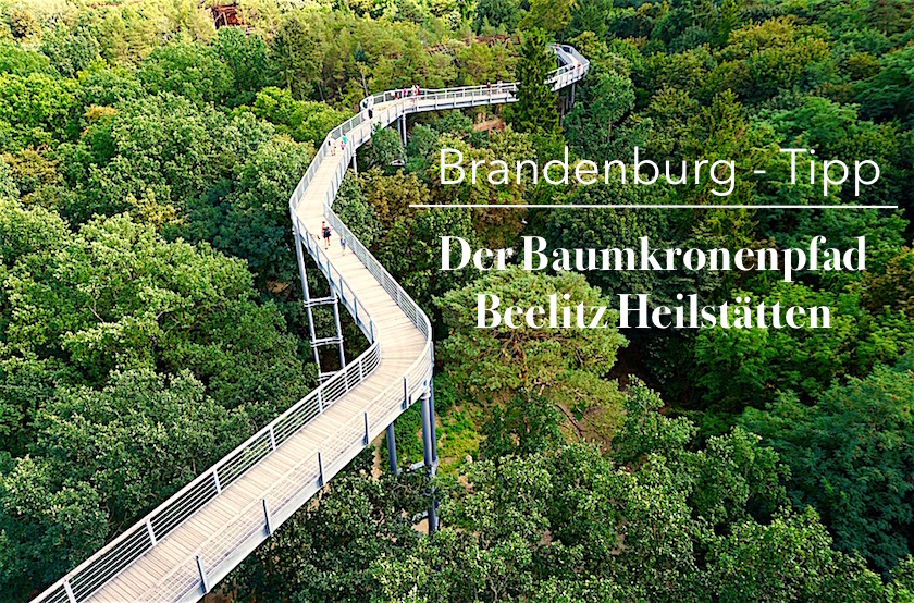 baumwipfelpfad-beelitz-heilstaetten-brandenburg