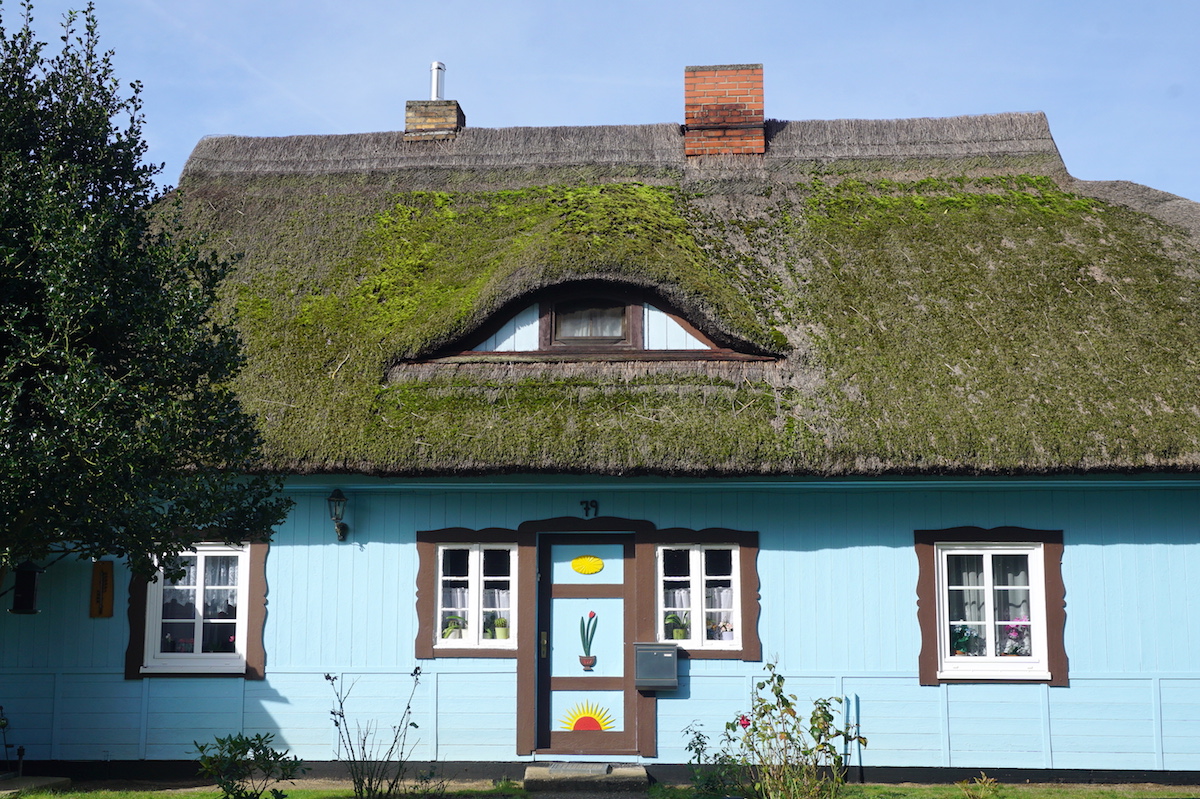 Born Reetdachhaus mit bunter Darsser Tür